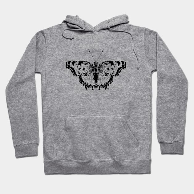 Not so real Butterfly II black-and-white Hoodie by VeraAlmeida